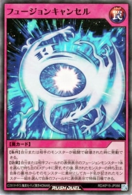 RD/KP15-JP066 �ե塼����󥭥�󥻥�ڥ����ѡ��쥢��