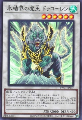 ��12��/TW01-JP037 ɹ�볦�θײ��ɥ��������ڥ����ѡ��쥢��
