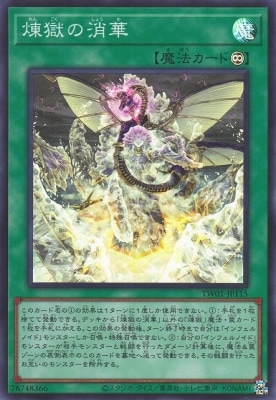 ��12��/TW01-JP115 �����ξòڡڥ����ѡ��쥢��