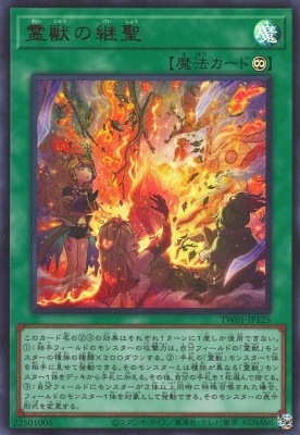 12/TW01-JP125 äηڥȥ쥢