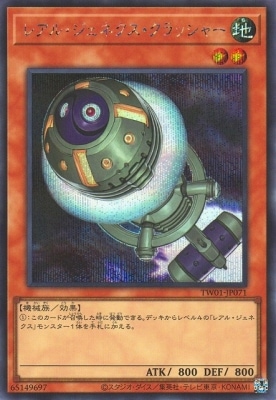 ��12��/TW01-JP071 �쥢�롦�����ͥ���������å��㡼�ڥ�������åȥ쥢��