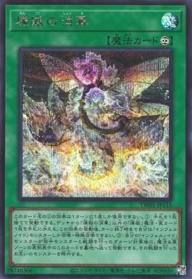 ��12��/TW01-JP115 �����ξòڡڥ�������åȥ쥢��