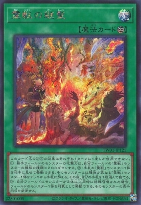霊獣の継聖
