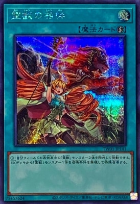 12/TW01-JP141 ä嫡ڥåȥ쥢