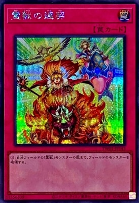 霊獣の連契