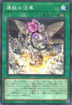 ��12��/TW01-JP115 �����ξòڡڥΡ��ޥ�ѥ����