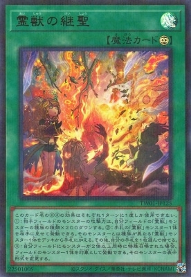 12/TW01-JP125 äηڥȥ쥢ѥ