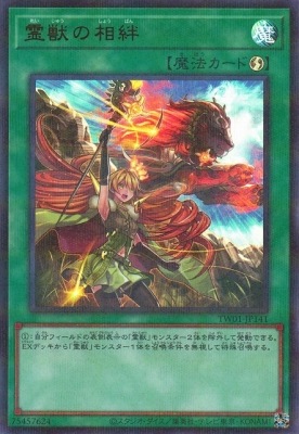 12/TW01-JP141 ä嫡ڥȥ쥢ѥ