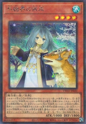 ��12��/TW01-JP032 ɹ�볦�ΰ���ڥ�������åȥ쥢�ѥ����