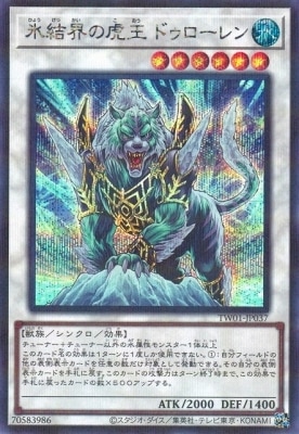 ��12��/TW01-JP037 ɹ�볦�θײ��ɥ��������ڥ�������åȥ쥢�ѥ����