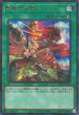 12/TW01-JP141 ä嫡ڥåȥ쥢ѥ