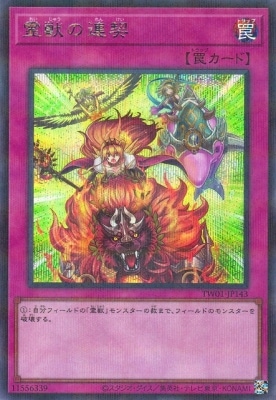 12/TW01-JP143 äϢڥåȥ쥢ѥ