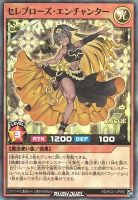 RD/HC01-JP050 ֥󥿡ڥѡ쥢