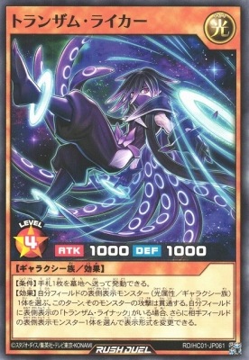 RD/HC01-JP061 �ȥ�󥶥ࡦ�饤����