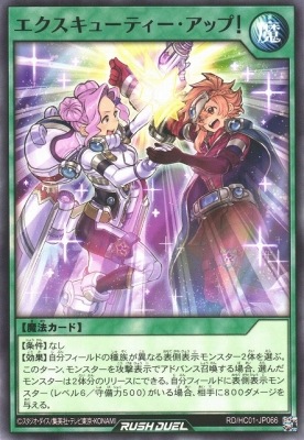 RD/HC01-JP066 ���������塼�ƥ��������åס�