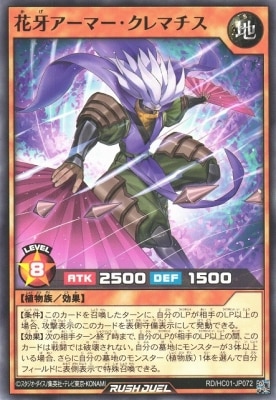 RD/HC01-JP072 �ֲ祢���ޡ�������ޥ���