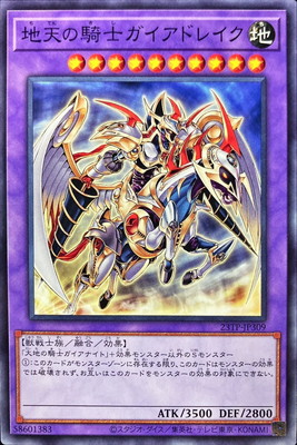 ȡʥȥѥå/23TP-JP309 ŷεΥɥ쥤