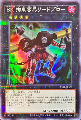 ȡʥȥѥå/23TP-JP301 £ «ʼ꡼ɥ֥ڥѡѥ