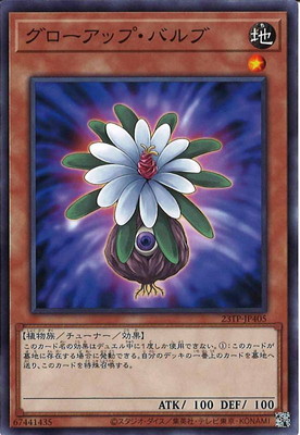 ȡʥȥѥå/23TP-JP405 åסХ