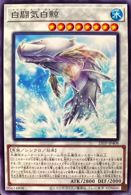 ȡʥȥѥå/23TP-JP408 Ʈ