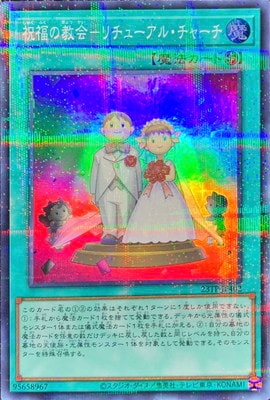 ȡʥȥѥå/23TP-JP402 ʡζݥ塼롦㡼ڥѡ쥢ѥ