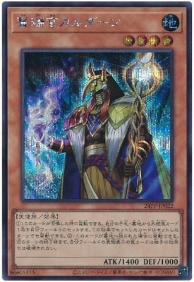 24PP-JP022 ���𴱥��������ڥ�������åȥ쥢��