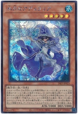24PP-JP023 ���Υ��ǥ��ꥢ�ڥ�������åȥ쥢��