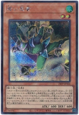 24PP-JP024 �㤤Ǧ�ԡڥ�������åȥ쥢��