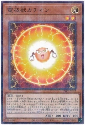 24PP-JP012 �Ŷ˽å�������ڥΡ��ޥ�ѥ����