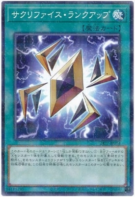 24PP-JP014 ������ե���������󥯥��åסڥΡ��ޥ�ѥ����