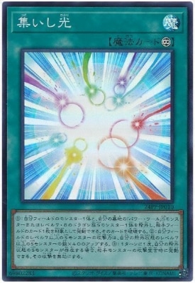 24PP-JP010 ���������ڥ����ѡ��쥢��