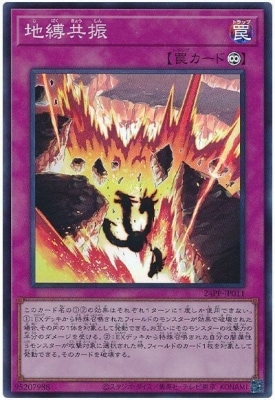 24PP-JP011 ���������ڥ����ѡ��쥢��