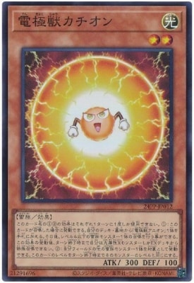 24PP-JP012 �Ŷ˽å�������ڥ����ѡ��쥢��