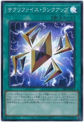 24PP-JP014 ������ե���������󥯥��åסڥ����ѡ��쥢��