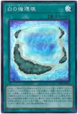 24PP-JP015 ��ν۴ľ̡ڥ����ѡ��쥢��