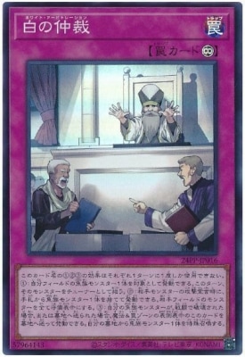 24PP-JP016 �����ۡڥ����ѡ��쥢��