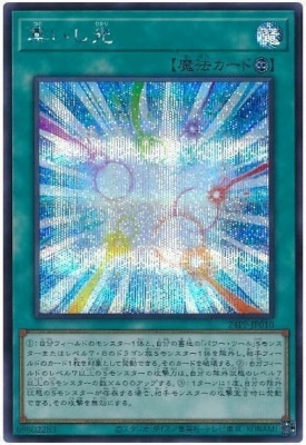 24PP-JP010 ���������ڥ�������åȥ쥢��