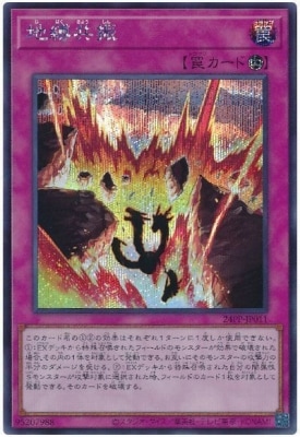 24PP-JP011 ���������ڥ�������åȥ쥢��