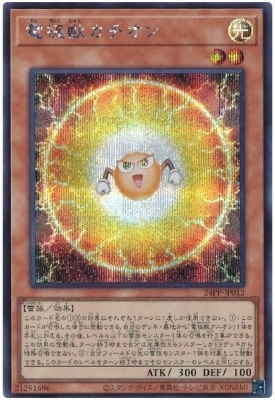 24PP-JP012 �Ŷ˽å�������ڥ�������åȥ쥢��