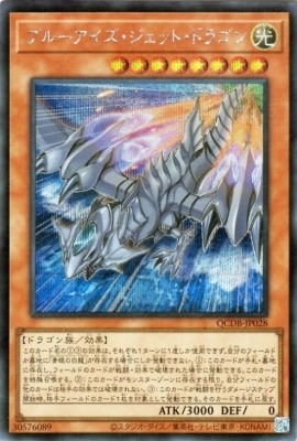 ��12��/QCDB-JP028 �֥롼�������������åȡ��ɥ饴��ڥ�������åȥ쥢��