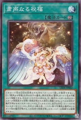��12��/04��/LEDE-JP062 �����ʤ��ʡ
