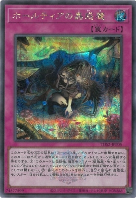 TDS2-JPP05 �ۡ���ƥ����������ڥ�������åȥ쥢�ۡ�25th�����դ���