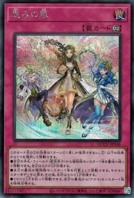 ��12��/QCCU-JP168 �äߤ����ڥ�������åȥ쥢��