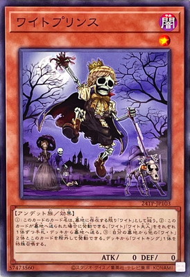 ȡʥȥѥå/24TP-JP103 磻ȥץ