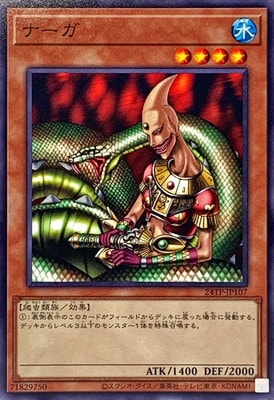 ȡʥȥѥå/24TP-JP107 ʡ