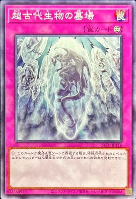 ȡʥȥѥå/24TP-JP116 Ķʪ