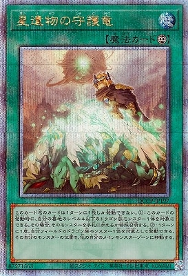 ��12�� QCCP-JP197 ����ʪ�μ��ε�ڥ����������������꡼��������åȥ쥢��