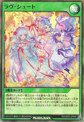 RD/ORP2-JP048 塼ȡڥѡ쥢