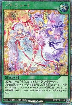 オーバーラッシュパック2(RD/ORP2)