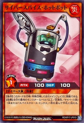 RD/KP17-JP013 �����С����ѥ������ۥåȥݥå�